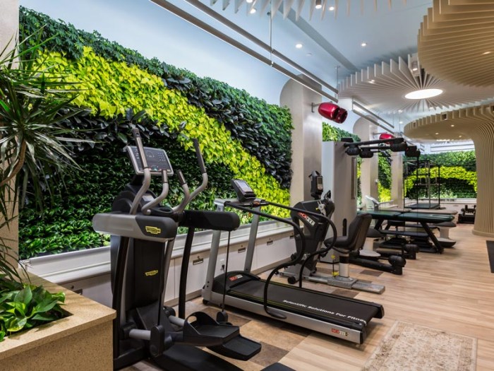 Creative Ideas for Using Artificial Plants on the Wall for a Gym: Bringing Greenery to Your Workout Space