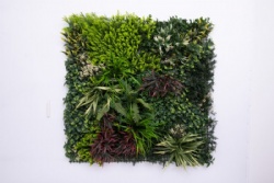 Artificial plant wall